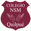 Colegio NSM